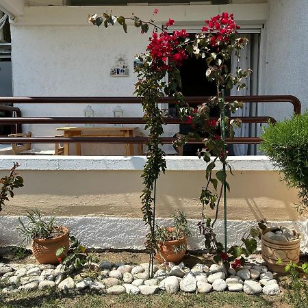 Mari E Monti Apartment PalaiónTsiflíkion Екстериор снимка